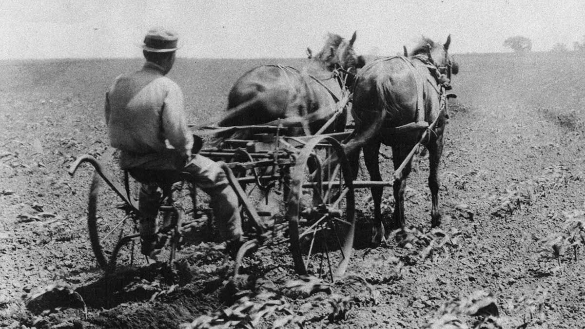 Harry Truman works on his family farm